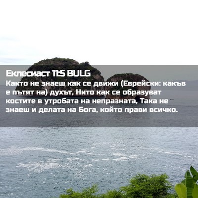 Picture 02 - Еклесиаст 11:5 BULG - Както не знаеш как се движи - Bible Verse Picture