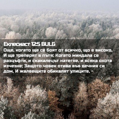 Picture 02 - Еклесиаст 12:5 BULG - Още, когато ще се боят от - Bible Verse Picture