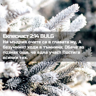 Picture 02 - Еклесиаст 2:14 BULG - На мъдрия очите са в - Bible Verse Picture