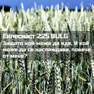 Picture 02 - Еклесиаст 2:25 BULG - Защото кой може да яде, И - Bible Verse Picture