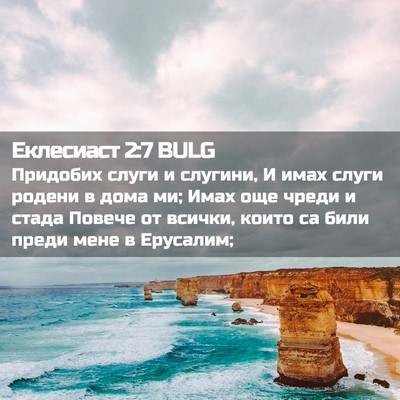 Picture 02 - Еклесиаст 2:7 BULG - Придобих слуги и слугини, И - Bible Verse Picture