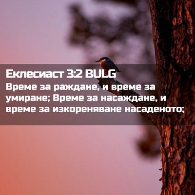 Picture 02 - Еклесиаст 3:2 BULG - Време за раждане, и време - Bible Verse Picture
