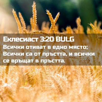 Picture 02 - Еклесиаст 3:20 BULG - Всички отиват в едно място; - Bible Verse Picture