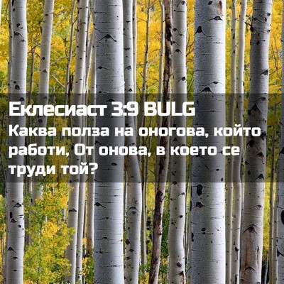 Picture 02 - Еклесиаст 3:9 BULG - Каква полза на оногова, - Bible Verse Picture