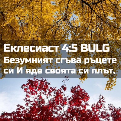 Picture 02 - Еклесиаст 4:5 BULG - Безумният сгъва ръцете си - Bible Verse Picture