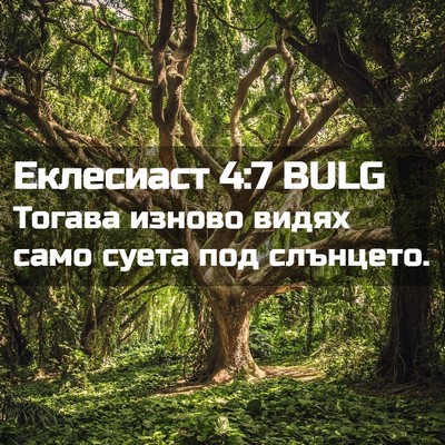 Picture 02 - Еклесиаст 4:7 BULG - Тогава изново видях само - Bible Verse Picture