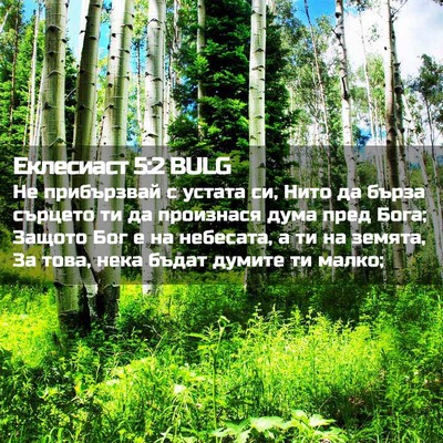 Picture 02 - Еклесиаст 5:2 BULG - Не прибързвай с устата си, - Bible Verse Picture
