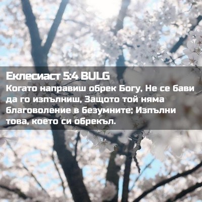 Picture 02 - Еклесиаст 5:4 BULG - Когато направиш обрек - Bible Verse Picture