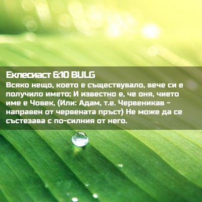 Picture 02 - Еклесиаст 6:10 BULG - Всяко нещо, което е - Bible Verse Picture