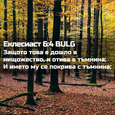 Picture 02 - Еклесиаст 6:4 BULG - Защото това е дошло в - Bible Verse Picture