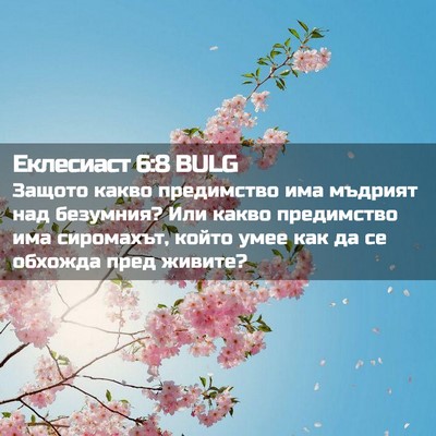 Picture 02 - Еклесиаст 6:8 BULG - Защото какво предимство - Bible Verse Picture