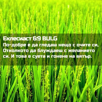 Picture 02 - Еклесиаст 6:9 BULG - По-добре е да гледаш нещо с - Bible Verse Picture