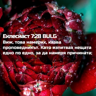 Picture 02 - Еклесиаст 7:28 BULG - Виж, това намерих, казва - Bible Verse Picture
