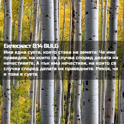 Picture 02 - Еклесиаст 8:14 BULG - Има една суета, която става - Bible Verse Picture