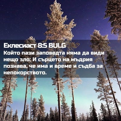 Picture 02 - Еклесиаст 8:5 BULG - Който пази заповедта няма - Bible Verse Picture