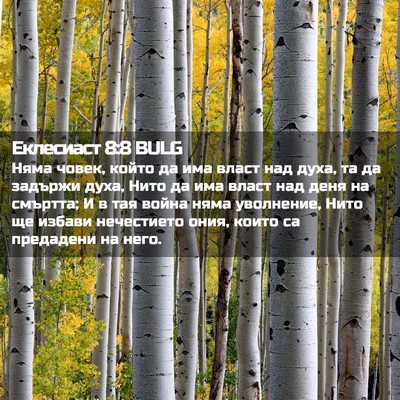 Picture 02 - Еклесиаст 8:8 BULG - Няма човек, който да има - Bible Verse Picture