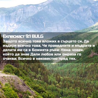 Picture 02 - Еклесиаст 9:1 BULG - Защото всичко това вложих - Bible Verse Picture