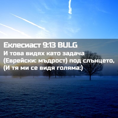 Picture 02 - Еклесиаст 9:13 BULG - И това видях като задача - Bible Verse Picture