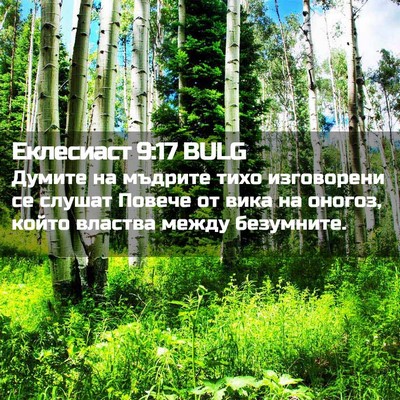 Picture 02 - Еклесиаст 9:17 BULG - Думите на мъдрите тихо - Bible Verse Picture