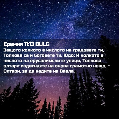 Picture 02 - Еремия 11:13 BULG - Защото колкото е числото - Bible Verse Picture