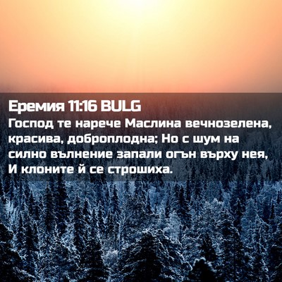 Picture 02 - Еремия 11:16 BULG - Господ те нарече Маслина - Bible Verse Picture