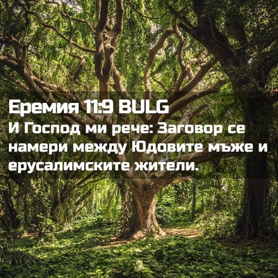 Picture 02 - Еремия 11:9 BULG - И Господ ми рече: Заговор - Bible Verse Picture