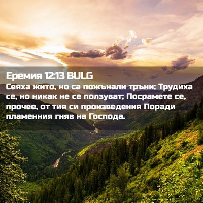 Picture 02 - Еремия 12:13 BULG - Сеяха жито, но са пожънали - Bible Verse Picture