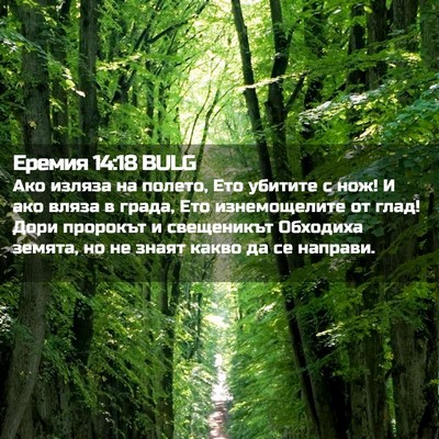 Picture 02 - Еремия 14:18 BULG - Ако изляза на полето, Ето - Bible Verse Picture