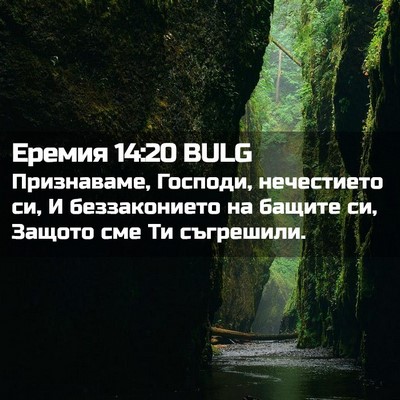 Picture 02 - Еремия 14:20 BULG - Признаваме, Господи, - Bible Verse Picture