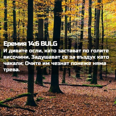 Picture 02 - Еремия 14:6 BULG - И дивите осли, като - Bible Verse Picture