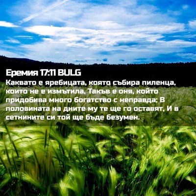 Picture 02 - Еремия 17:11 BULG - Каквато е яребицата, която - Bible Verse Picture