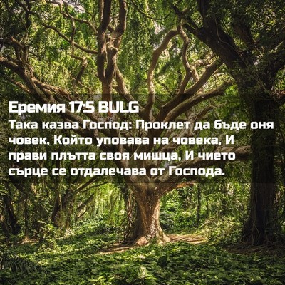 Picture 02 - Еремия 17:5 BULG - Така казва Господ: Проклет - Bible Verse Picture