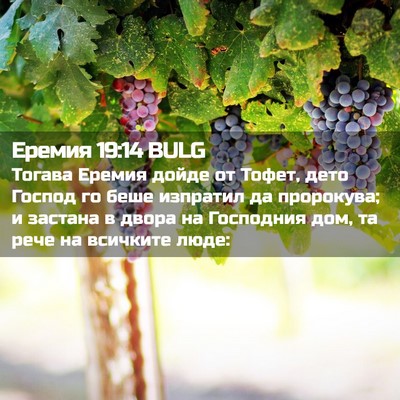 Picture 02 - Еремия 19:14 BULG - Тогава Еремия дойде от - Bible Verse Picture