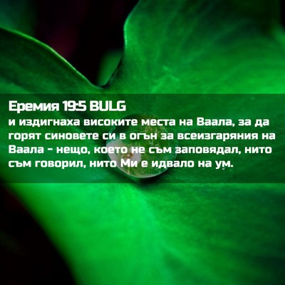 Picture 02 - Еремия 19:5 BULG - и издигнаха високите места - Bible Verse Picture