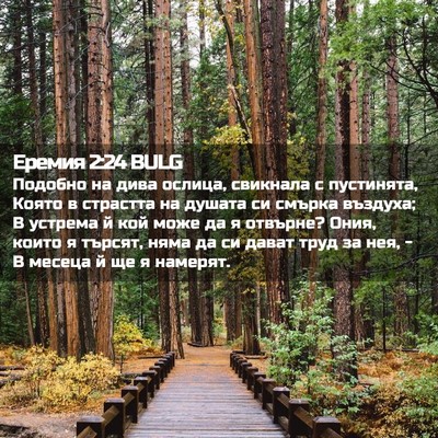Picture 02 - Еремия 2:24 BULG - Подобно на дива ослица, - Bible Verse Picture