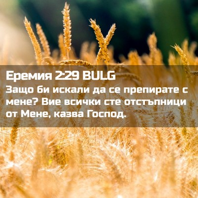 Picture 02 - Еремия 2:29 BULG - Защо би искали да се - Bible Verse Picture