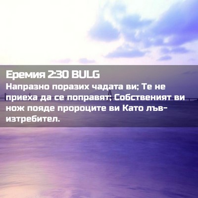 Picture 02 - Еремия 2:30 BULG - Напразно поразих чадата - Bible Verse Picture