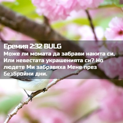 Picture 02 - Еремия 2:32 BULG - Може ли момата да забрави - Bible Verse Picture
