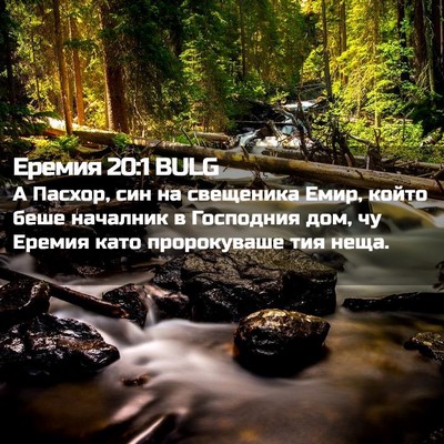 Picture 02 - Еремия 20:1 BULG - А Пасхор, син на свещеника - Bible Verse Picture