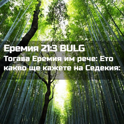 Picture 02 - Еремия 21:3 BULG - Тогава Еремия им рече: Ето - Bible Verse Picture