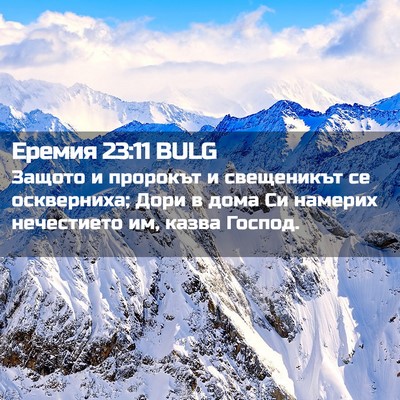 Picture 02 - Еремия 23:11 BULG - Защото и пророкът и - Bible Verse Picture