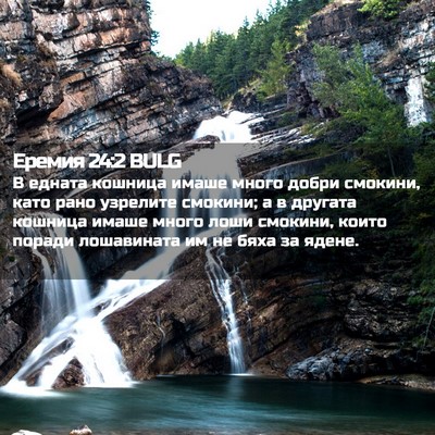 Picture 02 - Еремия 24:2 BULG - В едната кошница имаше - Bible Verse Picture