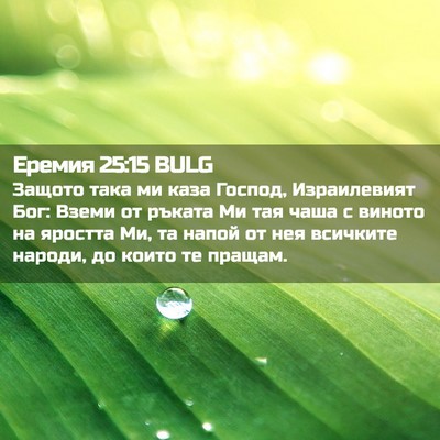 Picture 02 - Еремия 25:15 BULG - Защото така ми каза Господ, - Bible Verse Picture