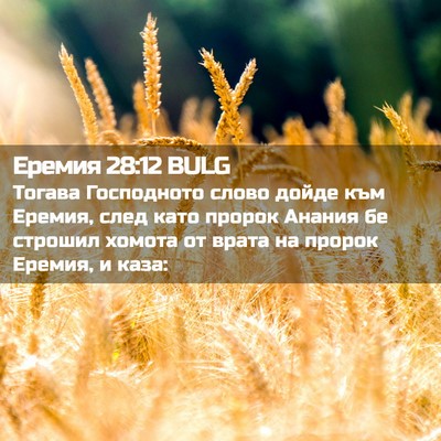 Picture 02 - Еремия 28:12 BULG - Тогава Господното слово - Bible Verse Picture