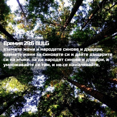 Picture 02 - Еремия 29:6 BULG - вземете жени и народете - Bible Verse Picture