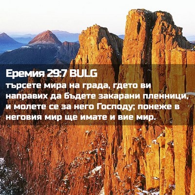 Picture 02 - Еремия 29:7 BULG - търсете мира на града, - Bible Verse Picture