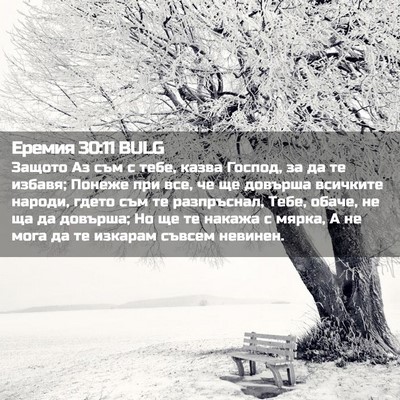 Picture 02 - Еремия 30:11 BULG - Защото Аз съм с тебе, казва - Bible Verse Picture