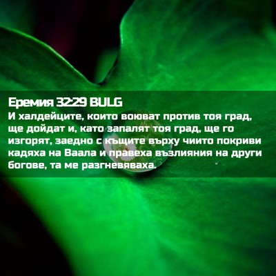 Picture 02 - Еремия 32:29 BULG - И халдейците, които воюват - Bible Verse Picture