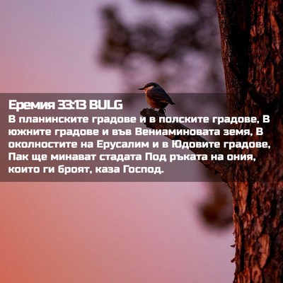 Picture 02 - Еремия 33:13 BULG - В планинските градове и в - Bible Verse Picture