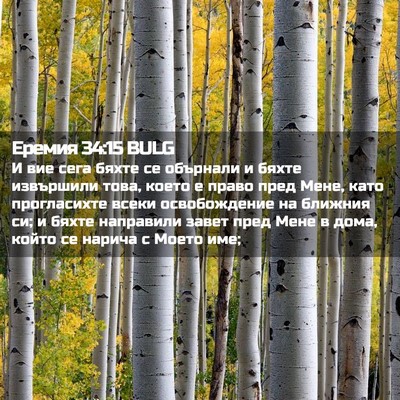 Picture 02 - Еремия 34:15 BULG - И вие сега бяхте се - Bible Verse Picture